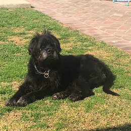 Sebastián  Alberto Antico